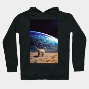 A Dog On The Beach Hoodie